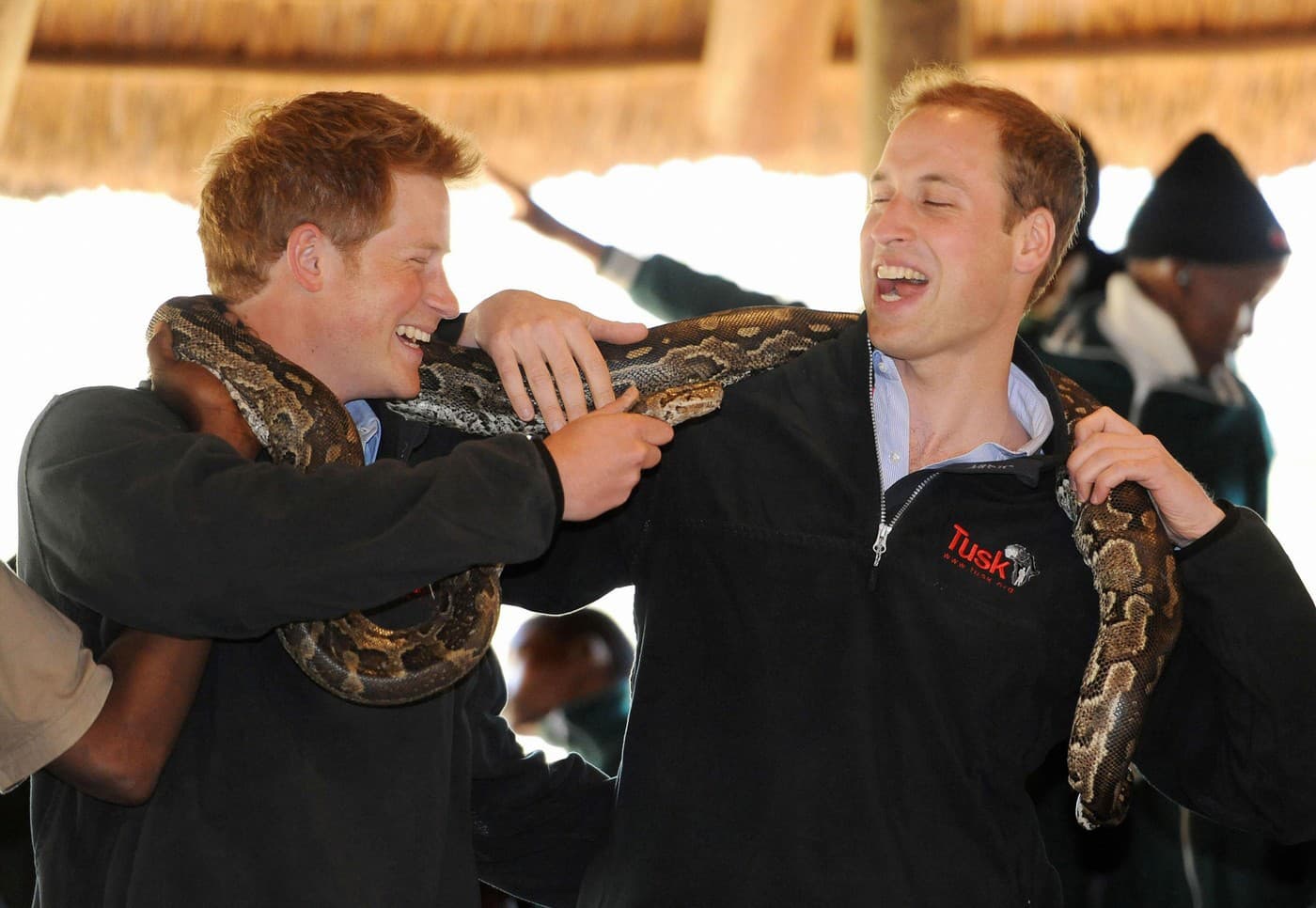 William a Harry našli