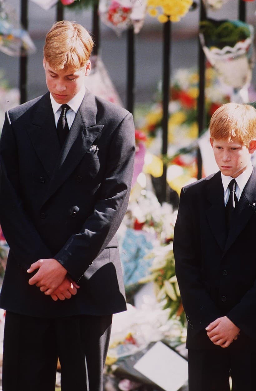 Princovia William a Harry