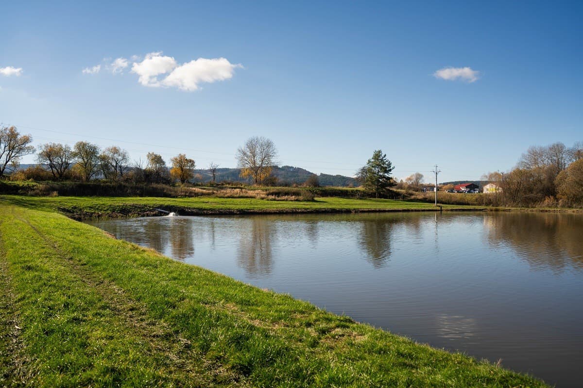 Пруды Турчанской котловины полны рыбы, о которой здесь заботливо заботятся. 