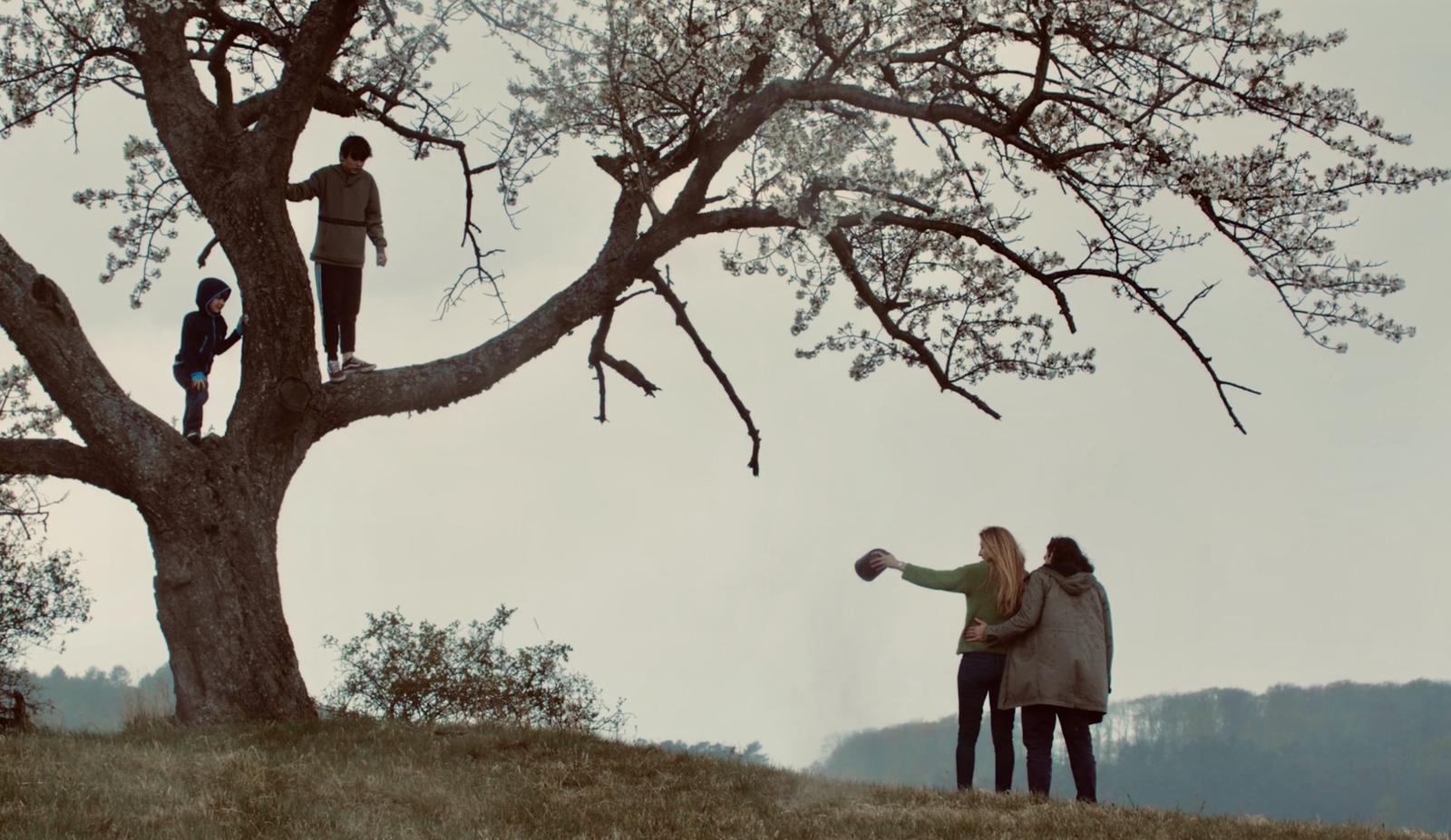 Тысячи зрителей, сотни историй: