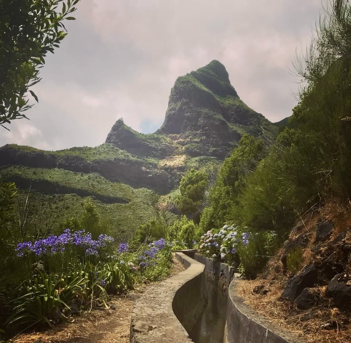 Madeira je presne ten typ miesta, kde človek prirodzene spomalí