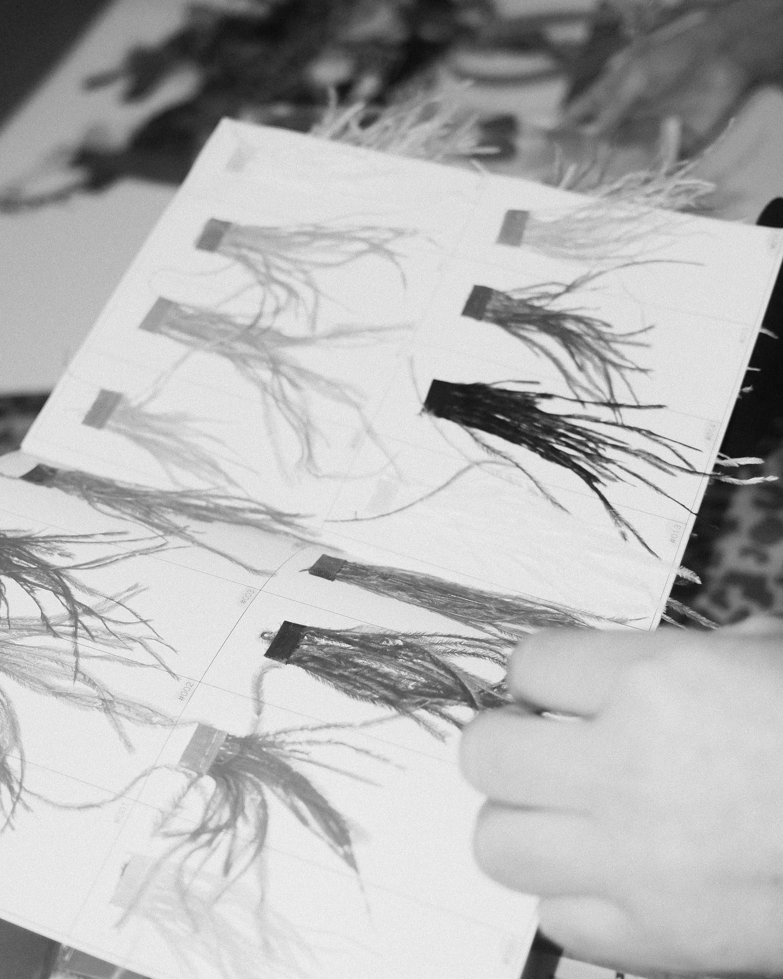 MIKLOSKO SOIRÉE Behind the Scenes