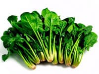 spenat,jedlo,vyziva,zelezo,vitaminy,jedlo,photos.com,