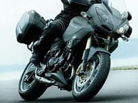 Triumph Tiger SE