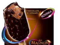 Magnum Infinity