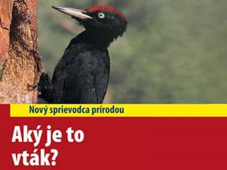 AKÝ JE TO VTÁK?