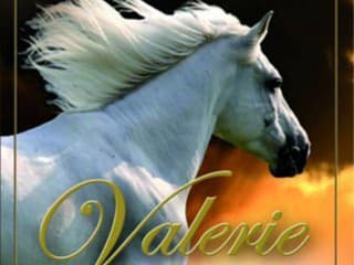  VALERIE 3:  MRAČNÁ NAD PLANTÁŽAMI