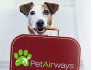 Vnútri lietadla spoločnosti PetAirways.