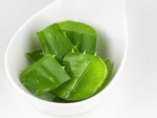 VŠELIEK MENOM ALOE VERA