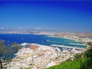 Opica makaka na Gibraltári.