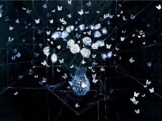 Umenie Damiena Hirsta.