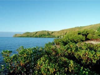Papua Nová Guinea.
