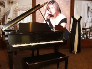 DIZAJNÉRSKA VÁŠEŇ BARBRY STREISAND
