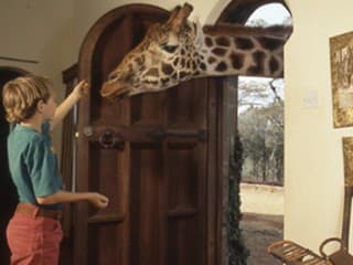 V rezidencii Giraffe Manor
