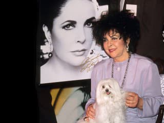 Elizabeth Taylor