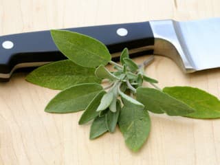 Salvia