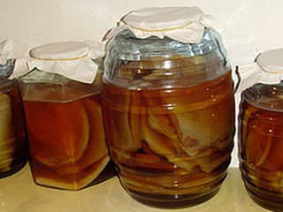kombucha