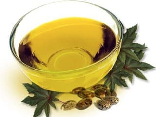 jojoba