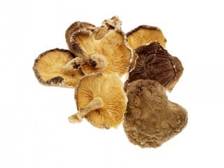 shiitake huby