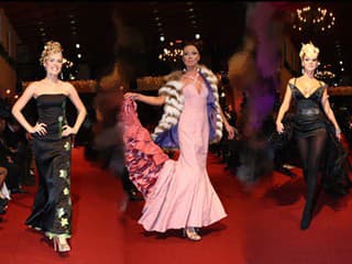 Mirka Partlová, Elena Podzámska,
