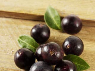 Acai