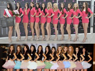 Miss 2013