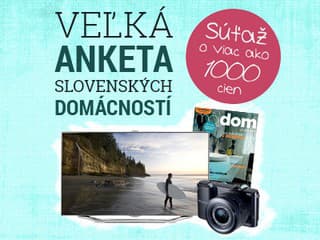 anketa