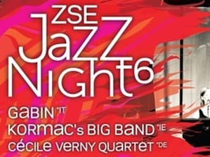Festival ZSE JAZZ NIGHT