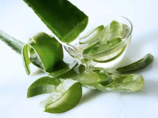 Aloe vera má celú