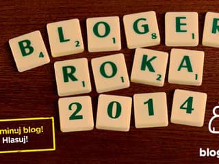 Bloger roka 2014
