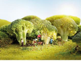 Na biofarme farmár prirodzene