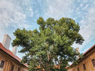 Okolie Banskej Štiavnice Janke