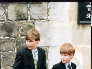 William a Harry sa