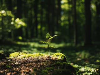 K ochrane životného prostredia