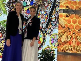 Michaela Kovačičová, generálna komisárka