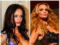 Bývalá Playmate Andrea Heringhová prešla postupne z tmavých vlasov takmer na blond
