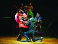CIRQUE DU SOLEIL predstavenie OVO.