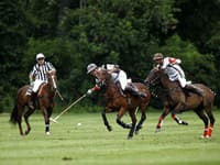 Polo Slovakia Open 2009.