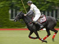 Polo Slovakia Open 2009.