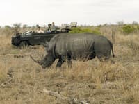 Safari v Tanzánii.