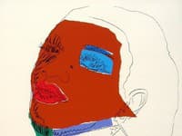 Andy Warhol - Ladies and Gentleman.