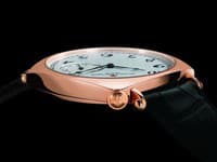 Hodinky roka od výrobcu Vacheron Constantin.