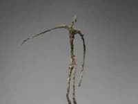 Albert Giacometti - L'Homme qui Chavire.