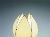 Lampa Quasar.
