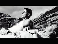A Single Man.