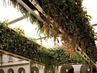 Trussardi café.