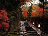 Unikátna kultúra a príroda očarí turistov v japonskom Kyoto.