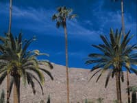 Oddychujte príjemne po plastickej operácii v Palm Springs.