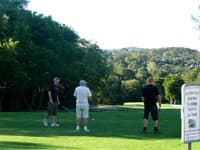 Golf v Sydney