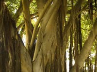 Bushmans Kloof Wilderness Reserve & Retreat.